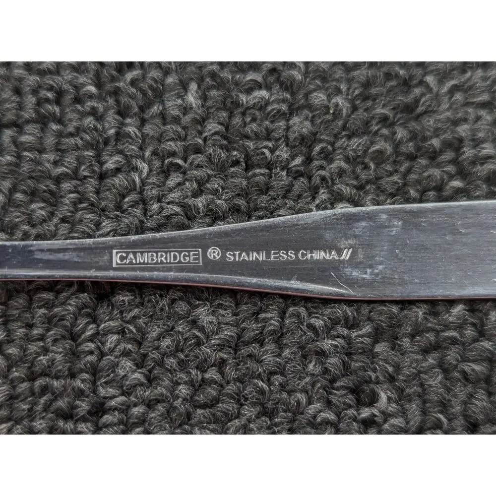 Set of 4 Cambridge Stainless Steel 6